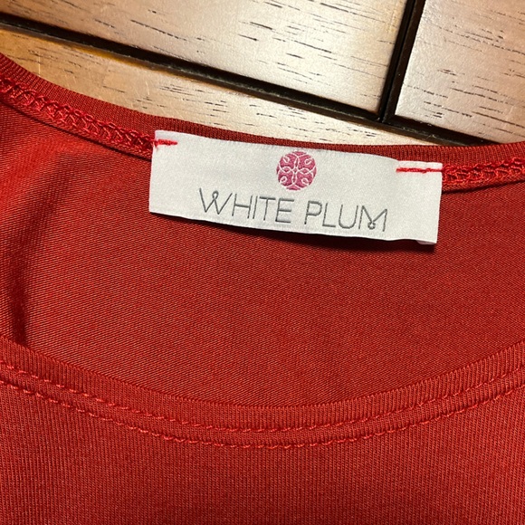 Elegant Burnt Red Women's Babydoll Dress with Stretch. - Picture 4 of 4